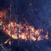 Lửa cháy trong một khu rừng tại Vườn quốc gia Hoàng Liên. (Ảnh: Lục Văn Toán/TTXVN)