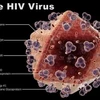 Virus HIV. (Nguồn: Internet)
