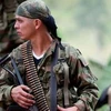 Quân du kích của FARC. (Nguồn: AFP)
