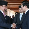 Quốc vương Brunei đón Chủ tịch nước Trương Tấn Sang. (Ảnh: Nguyễn Khang/TTXVN)