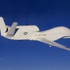 Máy bay do thám không người lái Global Hawk. (Nguồn: theuav.com)