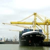 Tàu hàng container cập cảng Đà Nẵng. (Ảnh: Phạm Hậu/TTXVN)