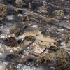 Cháy rừng ở bang Tasmania. (Nguồn: Reuters)