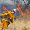 Các đám cháy rừng đang lan rộng tại bang Tasmania. (Nguồn: Guardian)