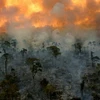 Cháy rừng - một trong những nguyên nhân tạo ra khí cácbon đen. (Nguồn: khoahoc.com.vn)