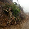 Một địa điểm sạt lở đất đá ở Lào Cai. (Nguồn: Báo Lào Cai)
