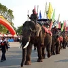 Đoàn voi trong lễ hội đường phố, một hoạt động trong khuôn khổ Lễ hội càphê Buôn Ma Thuột. (Ảnh: Thanh Hà/TTXVN)