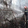 Lực lượng chức năng tham gia chữa cháy rừng. (Ảnh minh họa: Duy Khương/TTXVN)