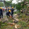 (Ảnh: Hoàng Anh Tuấn/Vietnam+)