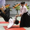 Biểu diễn Aikido. (Ảnh: Ngọc Trường/TTXVN)