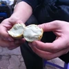 Trứng nướng khi bẻ đôi không hề thấy lòng đỏ (Ảnh: Phương Mai/Vietnam+)