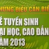 Sách hướng dẫn tuyển sinh 2013 (Ảnh: PV/Vietnam+)