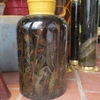 Mẫu rượu ngâm thuốc phiện Công an Hà Nội phát hiện hồi cuối tháng 12/2012 (Ảnh: Sơn Bách/Vietnam+)