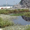 Dòng nước bẩn từ bãi rác chảy ra vùng chuyên canh rau xã Đông Vĩnh, Nghệ An (Nguồn: Lan Xuân/TTXVN)