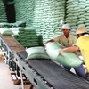 Vận chuyển gạo nguyên liệu vào dự trữ chế biến xuất khẩu tại xí nghiệp. (Ảnh: Đình Huệ/TTXVN)