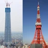 Sau khi hoàn tất, Tháp Tokyo Sky Tree (trái) sẽ cao gấp đôi Tháp Tokyo.