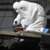 Cảnh sát điều tra xem xét hiện trường một vụ nổ do một gói hàng khả nghi gây ra tại Athens vào 4/11. (Nguồn: Getty images)