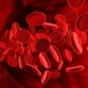 Tế bào máu. (Ảnh minh họa. Nguồn: Internet)