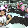 Sản xuất hàng may mặc xuất khẩu tại Công ty Trách nhiệm hữu hạn Seshin tại khu công nghiệp Thụy Vân, tỉnh Phú Thọ. (Ảnh: Hồng Kỳ/TTXVN)