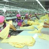 Sản xuất hàng may mặc xuất khẩu tại Công ty trách nhiệm hữu hạn Seshin (100% vốn Hàn Quốc) tại Khu công nghiệp Thụy Vân, tỉnh Phú Thọ. (Ảnh: Hồng Kỳ/TTXVN)