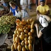 Kinh doanh hoa quả tại chợ ở Havana. (Nguồn: Internet)