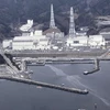 Nhà máy Điện hạt nhân Onagawa. (Nguồn: Reuters)