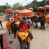 Đoàn voi có ô lọng đẹp mắt chở khách du lịch dạo quanh phố cổ. (Ảnh: Ngọc Tiến/Vietnam+)