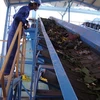 Một dây chuyền xử lý rác thải thành phân vi sinh. (Nguồn: thuviendongnai.gov.vn)