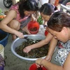 Mua cua tại một chợ Hà Nội. (Nguồn: baomoi.com)