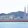 Nhà máy điện hạt nhân Onagawa. (Nguồn: AFP)