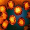 Virus Tây sông Nile. (Nguồn: nhs.uk)