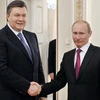 Tổng thống Nga Vladimir Putin và Tổng thống Ukraine Viktor Yanukovych. (Nguồn: AP)