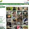 Trang web tài liệu định dạng loài trực tuyến. (Nguồn: ENV)