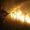 Nhân viên cứu hỏa phun nước dập đám cháy rừng gần làng Murmino, ngày 5/8. (Ảnh: AFP/TTXVN)