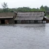 Đến ngày 7/10, nhiều hộ dân ở xã Cam Thủy, huyện Lệ Thủy còn ngập sâu trong nước. (Ảnh: Quang Ngọc/TTXVN)