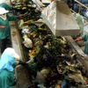 Hệ thống băng chuyền xử lý rác thải của nhà máy xử lý chất thải rắn Tràng Cát-Hải Phòng. (Ảnh: Trần Tuấn/TTXVN)