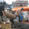 Vận chuyển hàng hóa lên tàu mang ra đảo Lý Sơn. (Ảnh: Đoàn Hữu Trung/TTXVN)