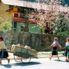 Các thiếu nữ Mông ở Hà Giang lấy nước về trữ dùng trong những ngày Tết. (Ảnh: Văn Phát/TTXVN)