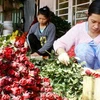 Nông dân làng hoa Vạn Thành (Đà Lạt) đóng hoa hồng phục vụ thị trường Valentine. (Ảnh: Internet)