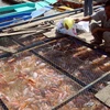Chăm sóc cá điêu hồng nuôi trong lồng, bè dọc sông Tiền. (Ảnh: Thanh Vũ/TTXVN)