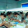 Các phạm nhân đang lao động cải tạo tại Trại giam Phú Sơn 4. (Ảnh: Thống Nhất/TTXVN)