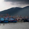 Tàu thuyền ngư dân về neo đậu tránh bão tại âu thuyền Thọ Quang, thành phố Đà Nẵng. (Ảnh: An Đăng/TTXVN)