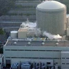 Nhà máy điện hạt nhân. (Ảnh minh họa: Internet)