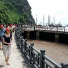 Du khách xuống bến thăm hang Đầu Gỗ, Vịnh Hạ Long. (Ảnh: Thanh Hà/TTXVN)