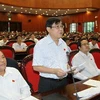 Đại biểu Quốc hội tỉnh Long An Đỗ Hữu Lâm phát biểu ý kiến. (Ảnh: Doãn Tấn/TTXVN)