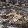 Cảnh tàn phá sau các vụ cháy rừng ở Boomer Bay, đảo Tasmania ngày 5/1/2013. (Nguồn: AFP/TTXVN)