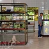 Bảo tàng của trại rắn Đồng Tâm. (Nguồn: Báo ảnh Việt Nam)