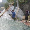 Mưa đá liên tiếp gây nhiều thiệt hại ở Lào Cai. (Ảnh: TTXVN)