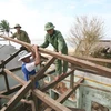 Bộ đội biên phòng Quảng Nam giúp dân khắc phục hậu quả cơn bão số 9 và chuẩn bị ứng phó bão số 10. (Ảnh: Huy Hùng/TTXVN)