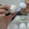 Người tiêu dùng khó nhận dạng các loại trứng gà (Ảnh: Thông Chí/Vietnam+) 